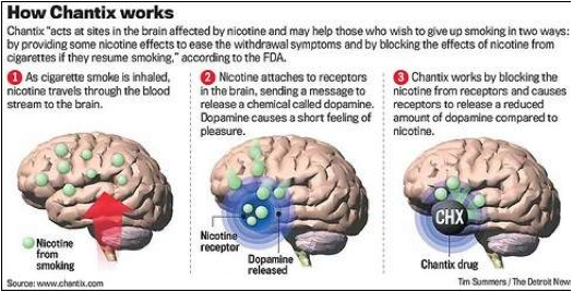 brainbox